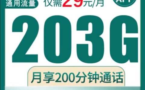 联通神卡有哪些2023？这款29元包203G通用流量+200分钟