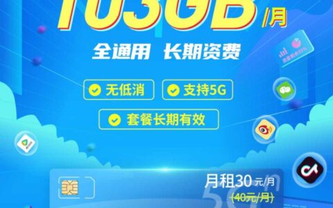 联通流量王纯享版 30元103G通用流量+100分钟通话（可开副卡）