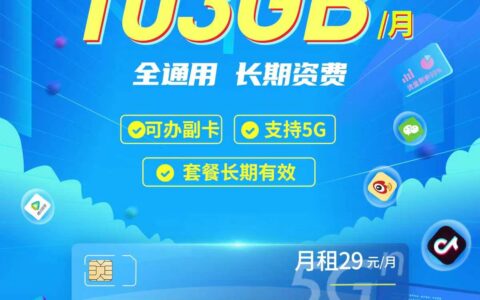 联通流量王乐享版 29元103G通用流量+100分钟通话（可开副卡）