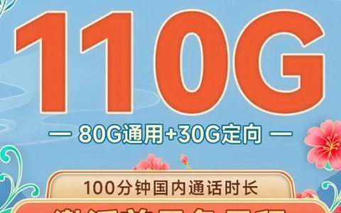 电信梅花卡 19元110G(80G通用流量+30G定向流量)+100分钟通话