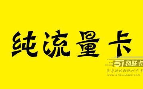 “纯流量版”电信悟空卡，首月月租19元，免费申请