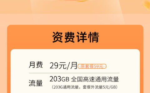 联通大龙卡29元/月包203G流量+100分钟通话