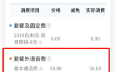 套餐外语音费是什么费用？2步教你解决