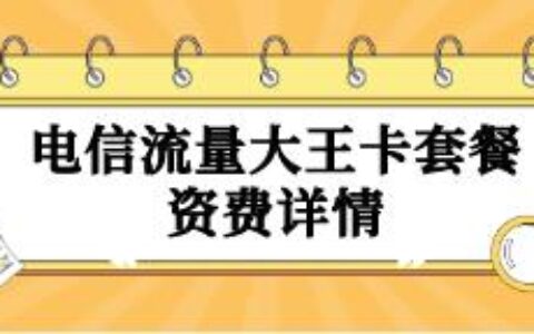 【电信大王卡】月租19元，赠送100分钟国内通话