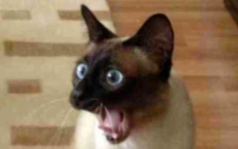 办理电信流量卡的3个口诀