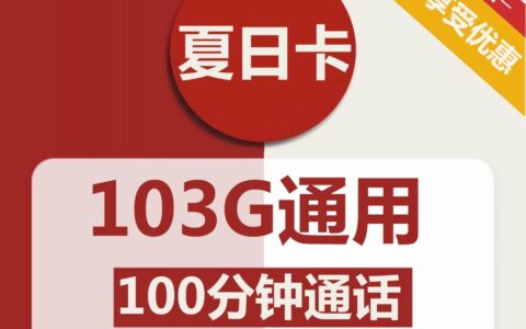 联通大王卡19元申请划算吗？30G定向流量够用吗?