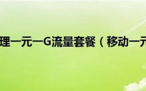 一元一g流量怎么办理