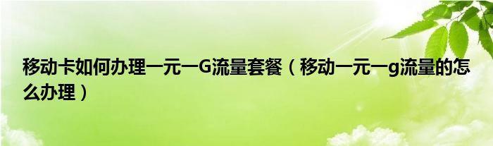 一元一g流量怎么办理