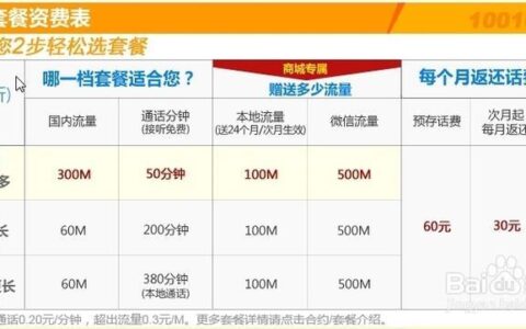 神州行畅聊套餐18月费18元，100分钟国内通话