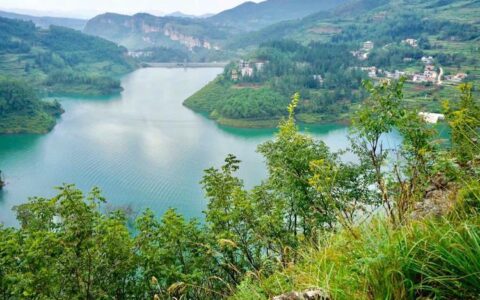 移动山青卡和移动水秀卡，哪个更适合你？