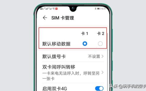 苹果手机两个卡怎么设置流量用哪个卡？