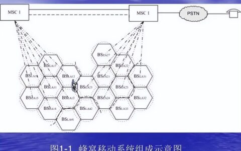 什么是蜂窝数据？如何使用蜂窝数据？
