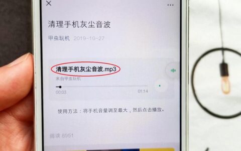 苹果手机喇叭积灰？用声波清理更干净