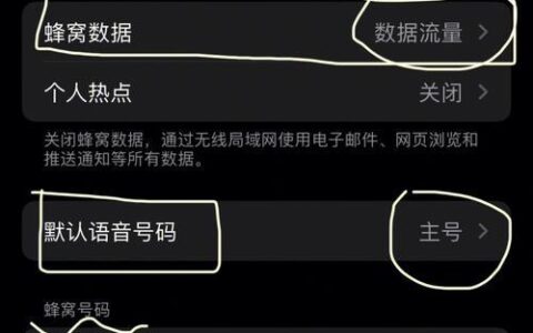 苹果手机双卡怎么设置用哪个卡流量？
