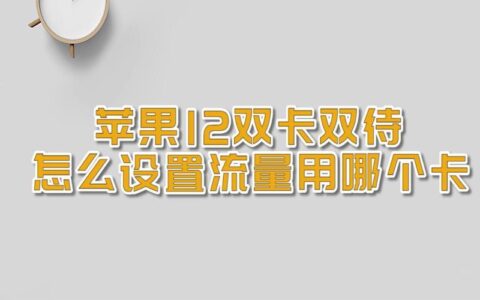 苹果双卡双待设置流量用哪个卡？教你一招