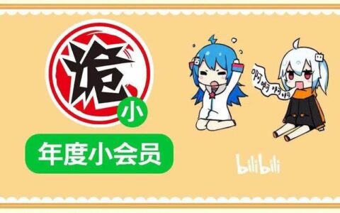 哔哩哔哩无限流量卡，让你在线追番不限量