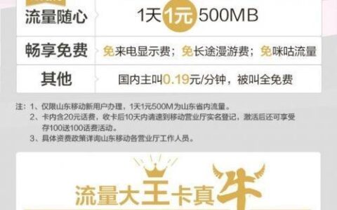 19元移动王卡申请攻略，流量王到手