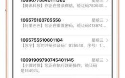 中国虚拟号码短信验证码：安全、便捷、多用途