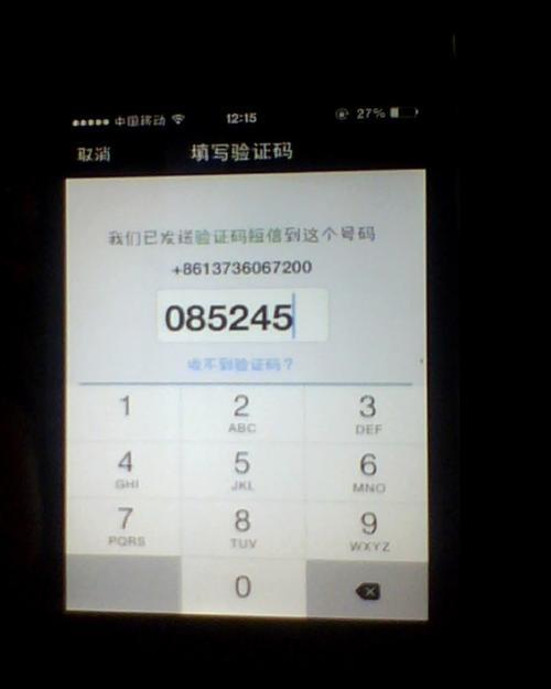 短信接码验证码平台：保护隐私，快速验证