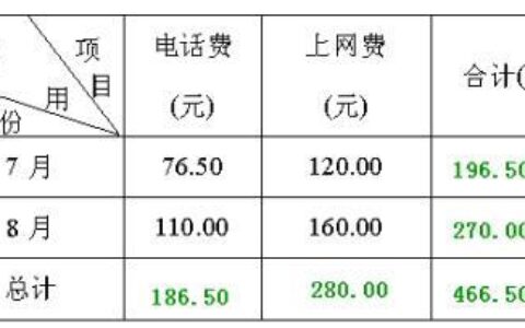 上网费是什么费用？
