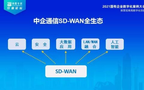 电信SD-WAN：助力企业数字化转型