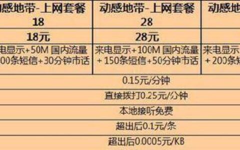 广州动感地带套餐介绍，满足不同需求