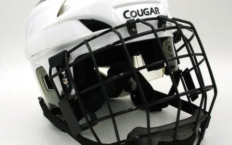 888真人备用网址：德国知名冰球用品商城