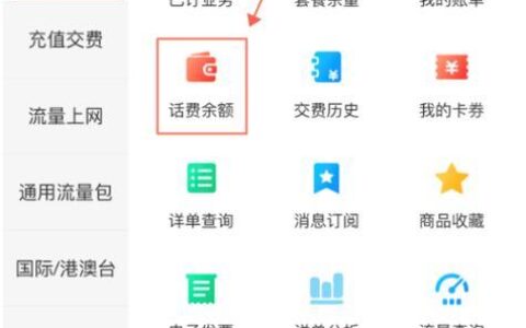 从哪查话费？
