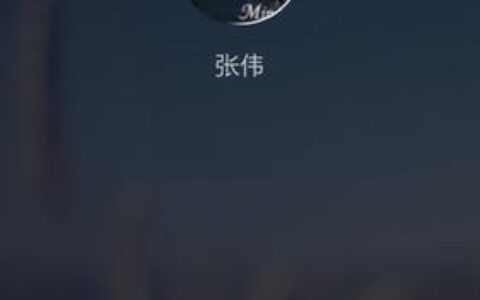 在线打网络电话：随时随地，畅聊无阻