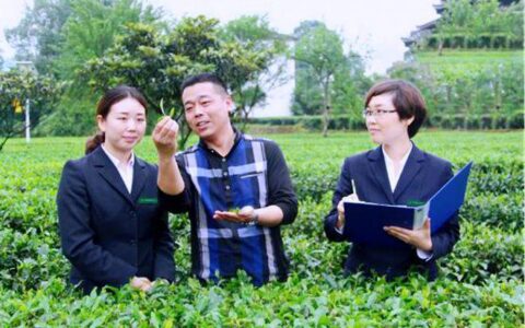 恩施座机号：办理流程、资费标准及常见问题