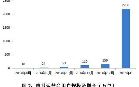 广东虚拟运营商：发展现状与未来趋势