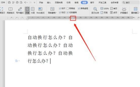 Word中自动换行怎么取消？