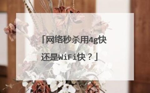 无线快还是4G快？