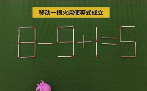 一根火柴的奇妙解法：19-3=9+5？