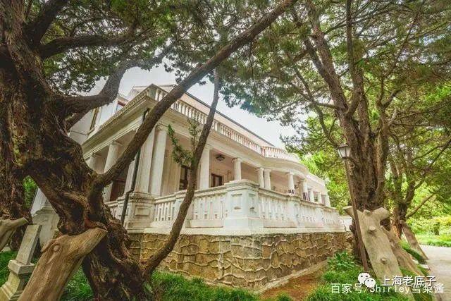 上海安化路396号：闹市中的静谧花园