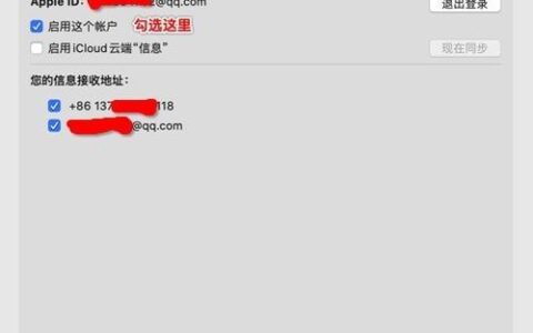 如何在Mac上使用短信