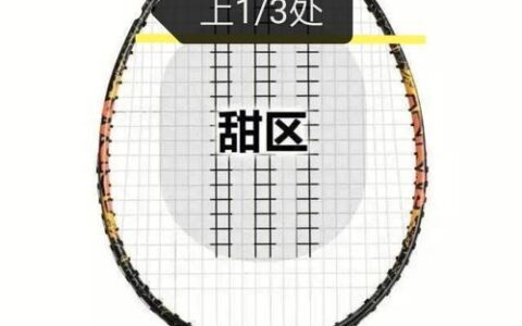 羽毛球的速度有多快？