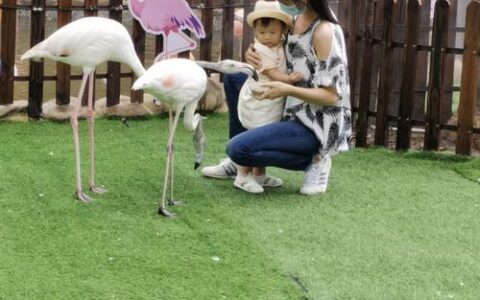 上海动物园：感受自然与动物的和谐共处