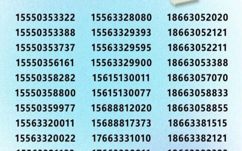 福建省手机靓号：选号指南与注意事项