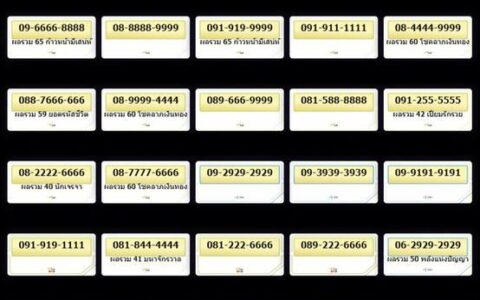 199靓号大全：挑选心仪号码，彰显独特个性