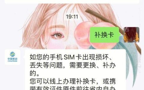 SIM卡异地补卡：详细攻略