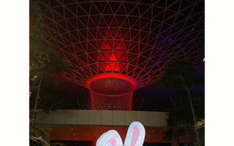 1天电话卡：短期旅行的便捷通信选择