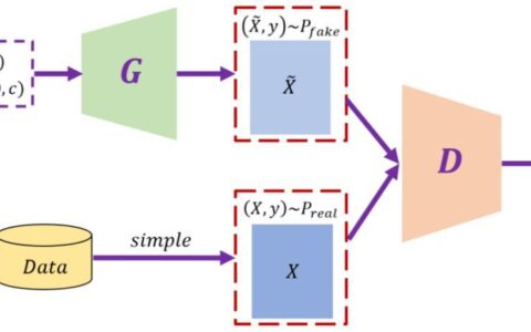 复杂网络连通性：理解复杂系统的关键