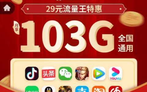 联通王卡：专属流量畅享，年轻人的不二之选