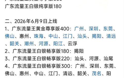 广东流量王白银畅享版300：38元真能买到300G通用流量吗？